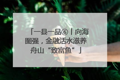 一县一品⑥丨向海图强，金融活水滋养舟山“致富鱼”