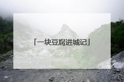 一块豆腐进城记