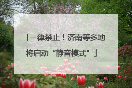 一律禁止！济南等多地将启动“静音模式”