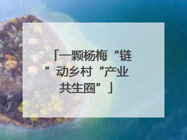 一颗杨梅“链”动乡村“产业共生圈”