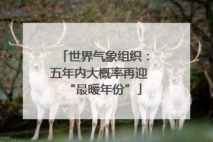 世界气象组织：五年内大概率再迎“最暖年份”