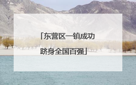 东营区一镇成功跻身全国百强