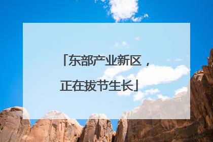 东部产业新区，正在拔节生长