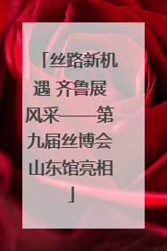 丝路新机遇 齐鲁展风采——第九届丝博会山东馆亮相