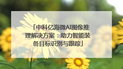 中科亿海微AI图像推理解决方案：助力智能装备目标识别与跟踪