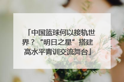 中国篮球何以接轨世界？“明日之星”搭建高水平青训交流舞台