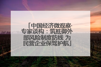 中国经济微观察·专家谈构：筑抵御外部风险制度防线 为民营企业保驾护航