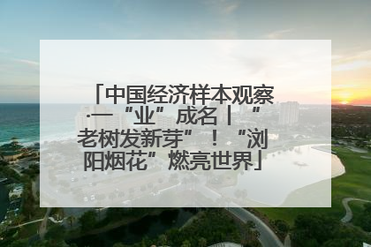 中国经济样本观察·一“业”成名丨“老树发新芽”！“浏阳烟花”燃亮世界