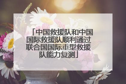 中国救援队和中国国际救援队顺利通过联合国国际重型救援队能力复测