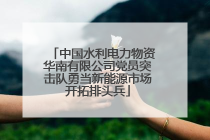 中国水利电力物资华南有限公司党员突击队勇当新能源市场开拓排头兵
