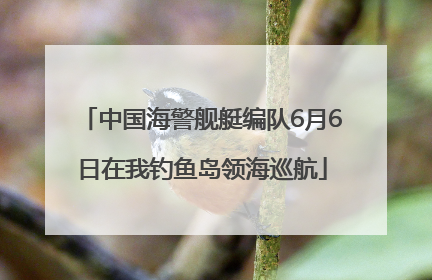 中国海警舰艇编队6月6日在我钓鱼岛领海巡航