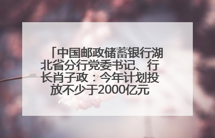 中国邮政储蓄银行湖北省分行党委书记、行长肖子政：今年计划投放不少于2000亿元支持支点建设