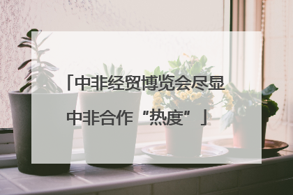 中非经贸博览会尽显中非合作“热度”