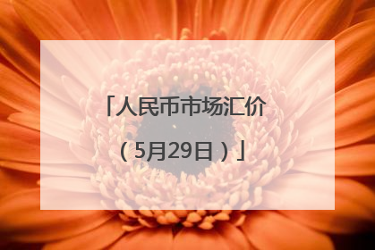 人民币市场汇价（5月29日）