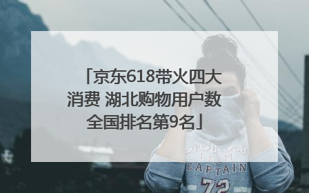 京东618带火四大消费 湖北购物用户数全国排名第9名