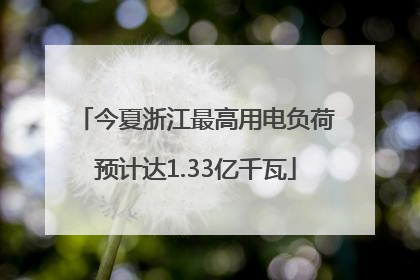 今夏浙江最高用电负荷预计达1.33亿千瓦