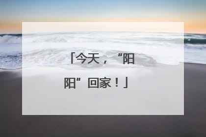 今天，“阳阳”回家！