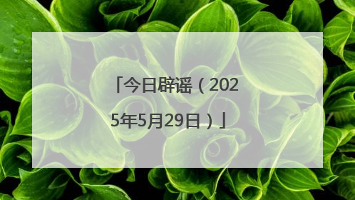 今日辟谣（2025年5月29日）