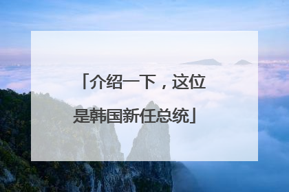 介绍一下，这位是韩国新任总统