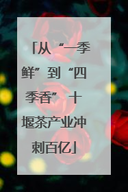 从“一季鲜”到“四季香” 十堰茶产业冲刺百亿