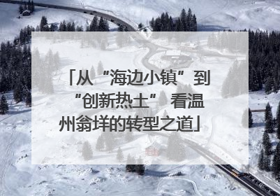 从“海边小镇”到“创新热土” 看温州翁垟的转型之道