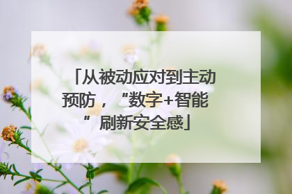 从被动应对到主动预防，“数字+智能”刷新安全感