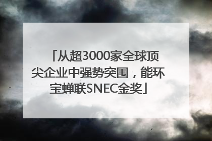 从超3000家全球顶尖企业中强势突围，能环宝蝉联SNEC金奖