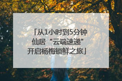 从1小时到5分钟 仙居“云端速递”开启杨梅锁鲜之旅