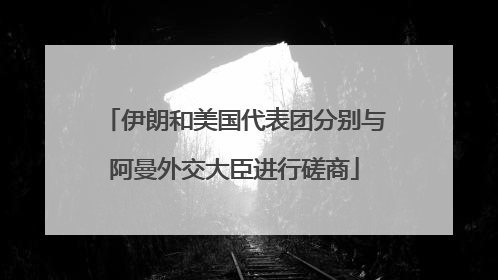 伊朗和美国代表团分别与阿曼外交大臣进行磋商