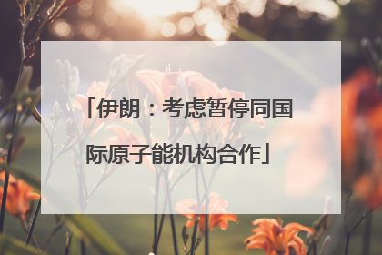 伊朗：考虑暂停同国际原子能机构合作