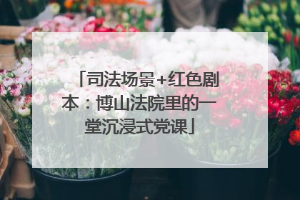 司法场景+红色剧本：博山法院里的一堂沉浸式党课