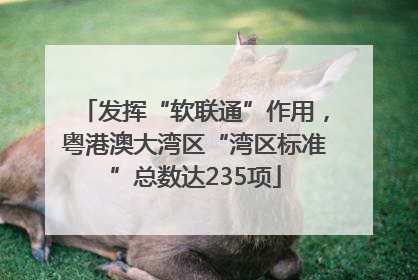 发挥“软联通”作用，粤港澳大湾区“湾区标准”总数达235项
