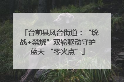 台前县凤台街道：“统战+禁烧”双轮驱动守护蓝天 “零火点”