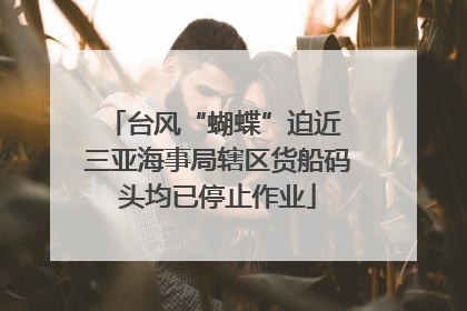 台风“蝴蝶”迫近 三亚海事局辖区货船码头均已停止作业