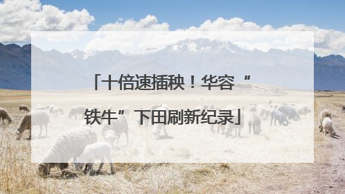 十倍速插秧！华容“铁牛”下田刷新纪录