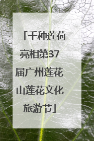 千种莲荷亮相第37届广州莲花山莲花文化旅游节