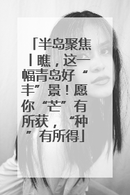 半岛聚焦丨瞧，这一幅青岛好“丰”景！愿你“芒”有所获，“种”有所得