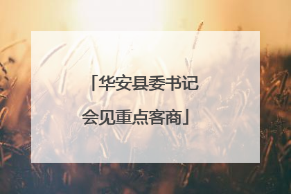 华安县委书记会见重点客商