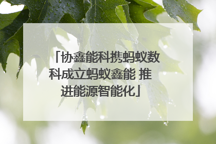 协鑫能科携蚂蚁数科成立蚂蚁鑫能 推进能源智能化