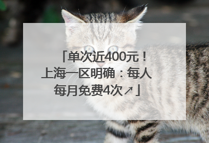 单次近400元！上海一区明确：每人每月免费4次↗