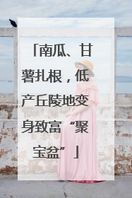 南瓜、甘薯扎根，低产丘陵地变身致富“聚宝盆”