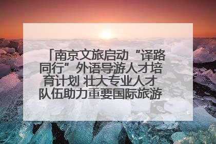 南京文旅启动“译路同行”外语导游人才培育计划 壮大专业人才队伍助力重要国际旅游目的地建设