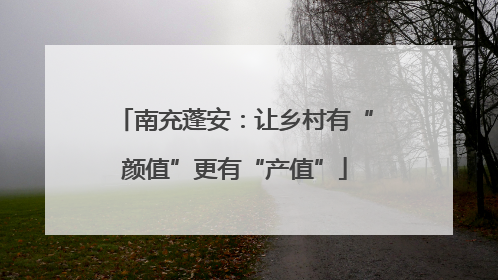 南充蓬安：让乡村有“颜值”更有“产值”