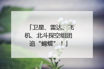 卫星、雷达、飞机、北斗探空组团追“蝴蝶”！