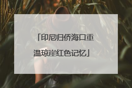 印尼归侨海口重温琼崖红色记忆