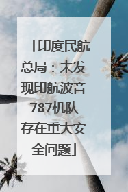 印度民航总局：未发现印航波音787机队存在重大安全问题