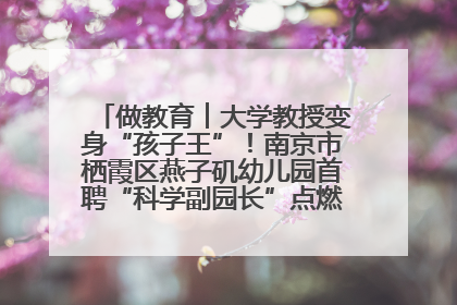 做教育︱大学教授变身“孩子王”！南京市栖霞区燕子矶幼儿园首聘“科学副园长”点燃萌娃科学梦