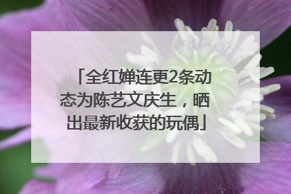 全红婵连更2条动态为陈艺文庆生，晒出最新收获的玩偶