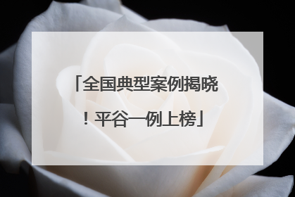 全国典型案例揭晓！平谷一例上榜