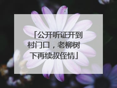 公开听证开到村门口，老柳树下再续叔侄情